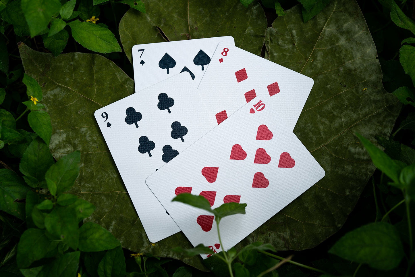 Solstice Luxury Playing Cards