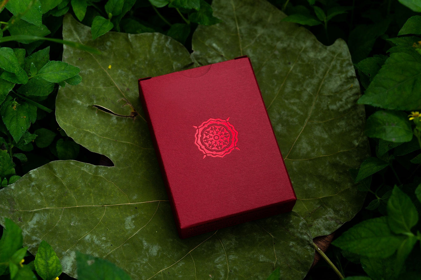 Solstice Luxury Playing Cards