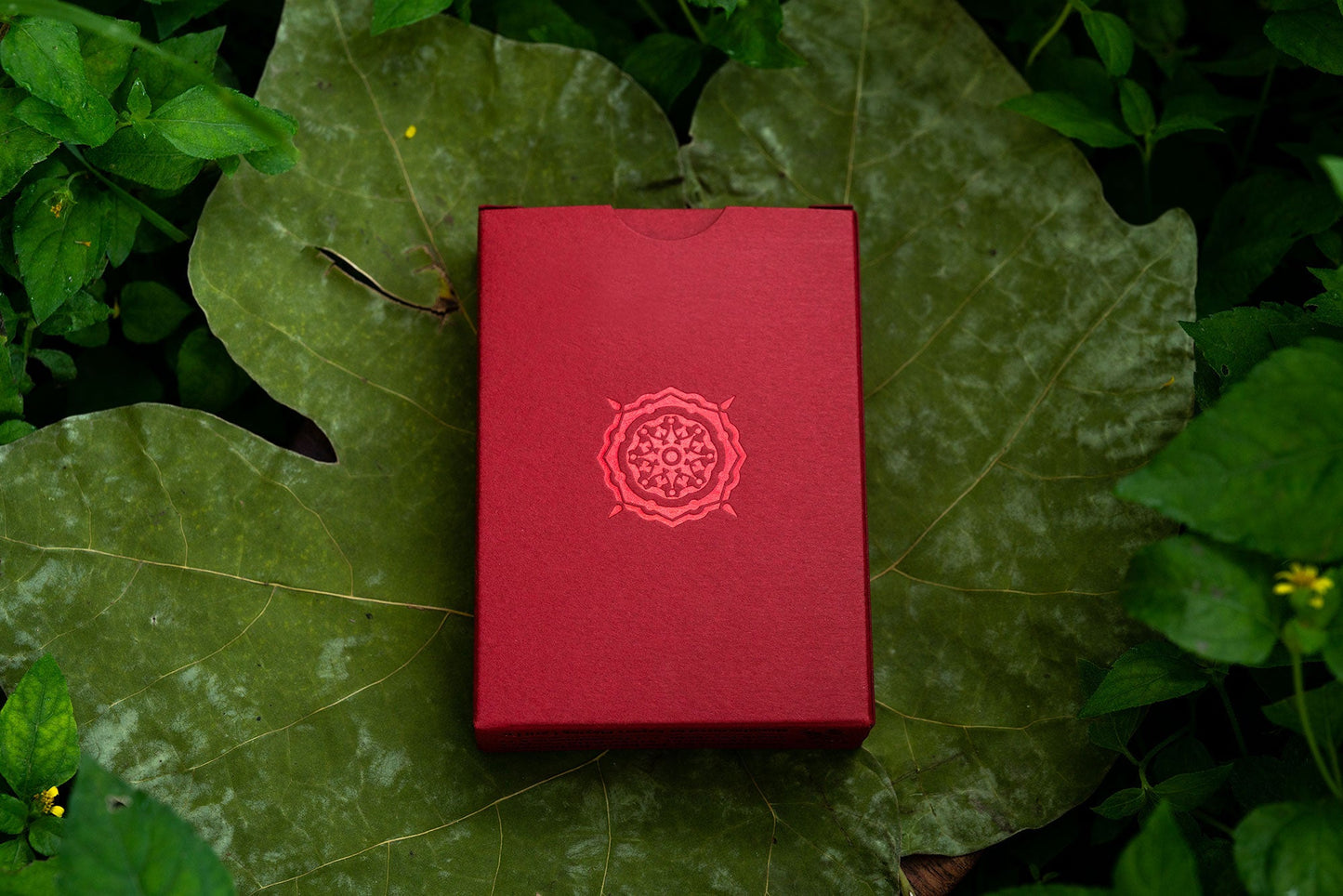 Solstice Luxury Playing Cards